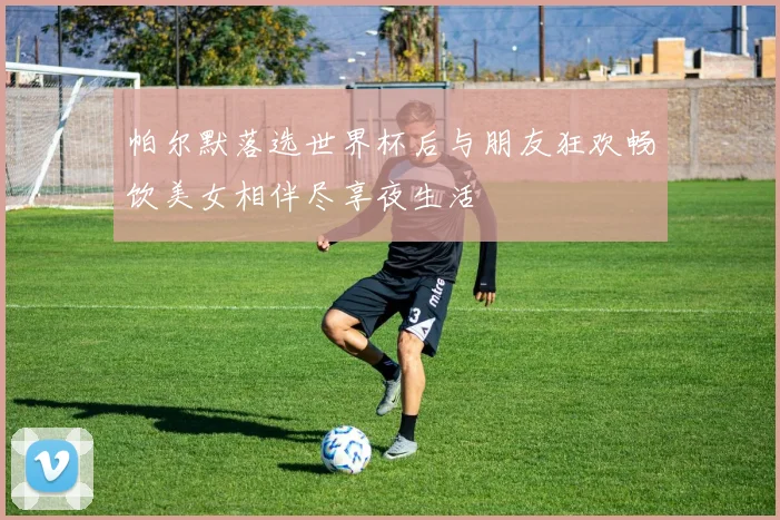 帕尔默落选世界杯后与朋友狂欢畅饮美女相伴尽享夜生活