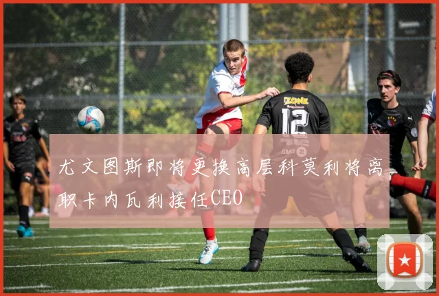 尤文图斯即将更换高层科莫利将离职卡内瓦利接任CEO