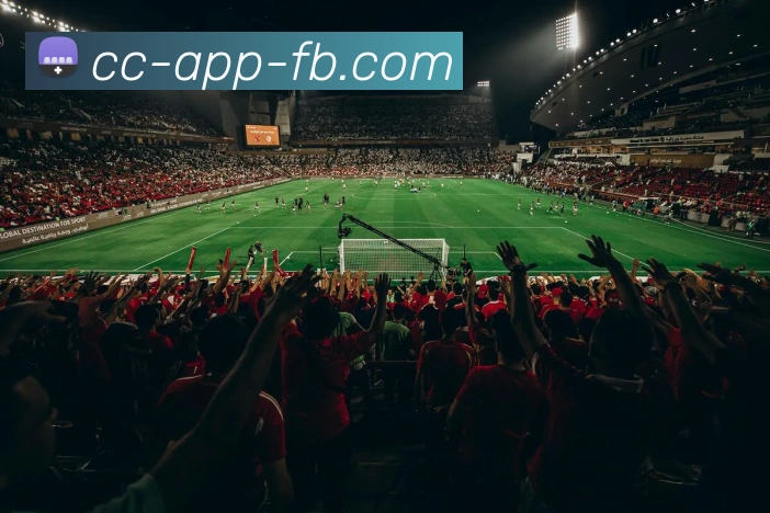 FB体育APP 封面图